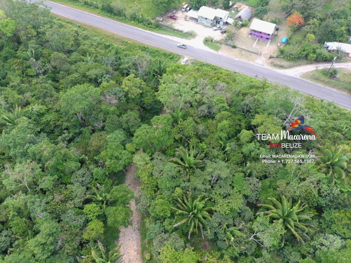 5.5 Acre Ready to Build in Big Falls Toledo District