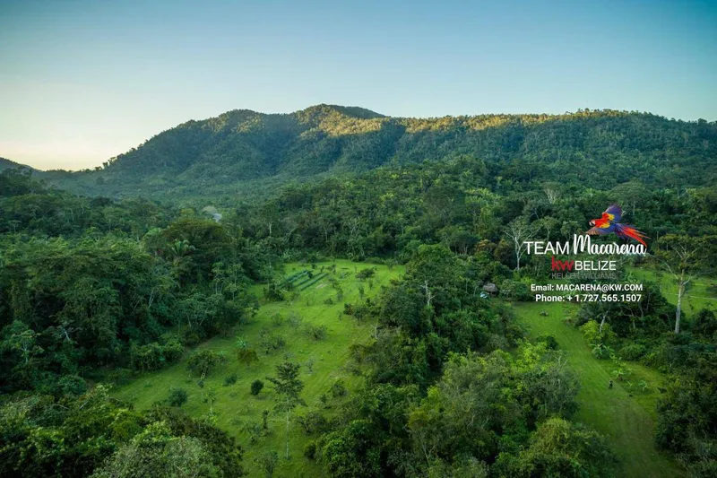 Exquisite Eco-Friendly Hosting &amp; Research Property on Hummingbird Highway