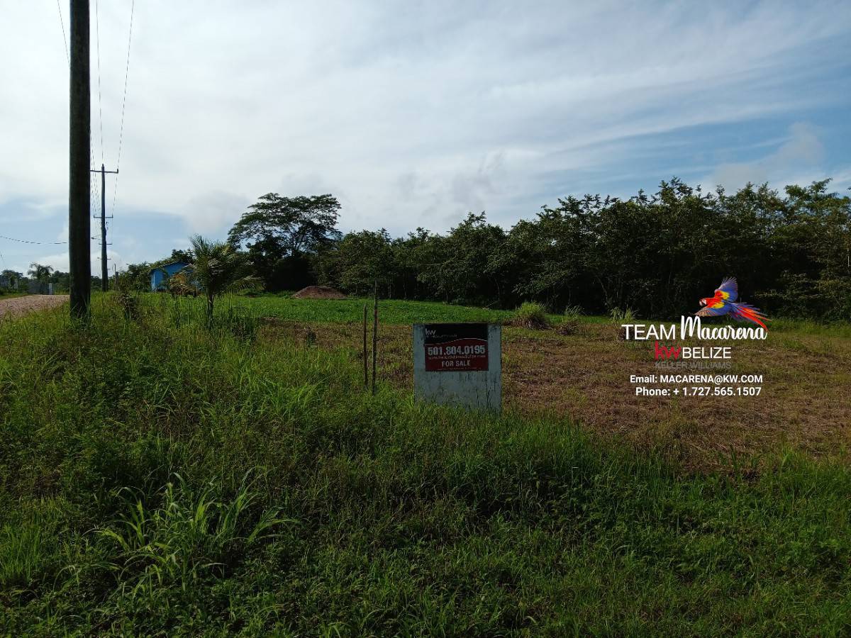 Residential Lots Santa Elena Cayo District