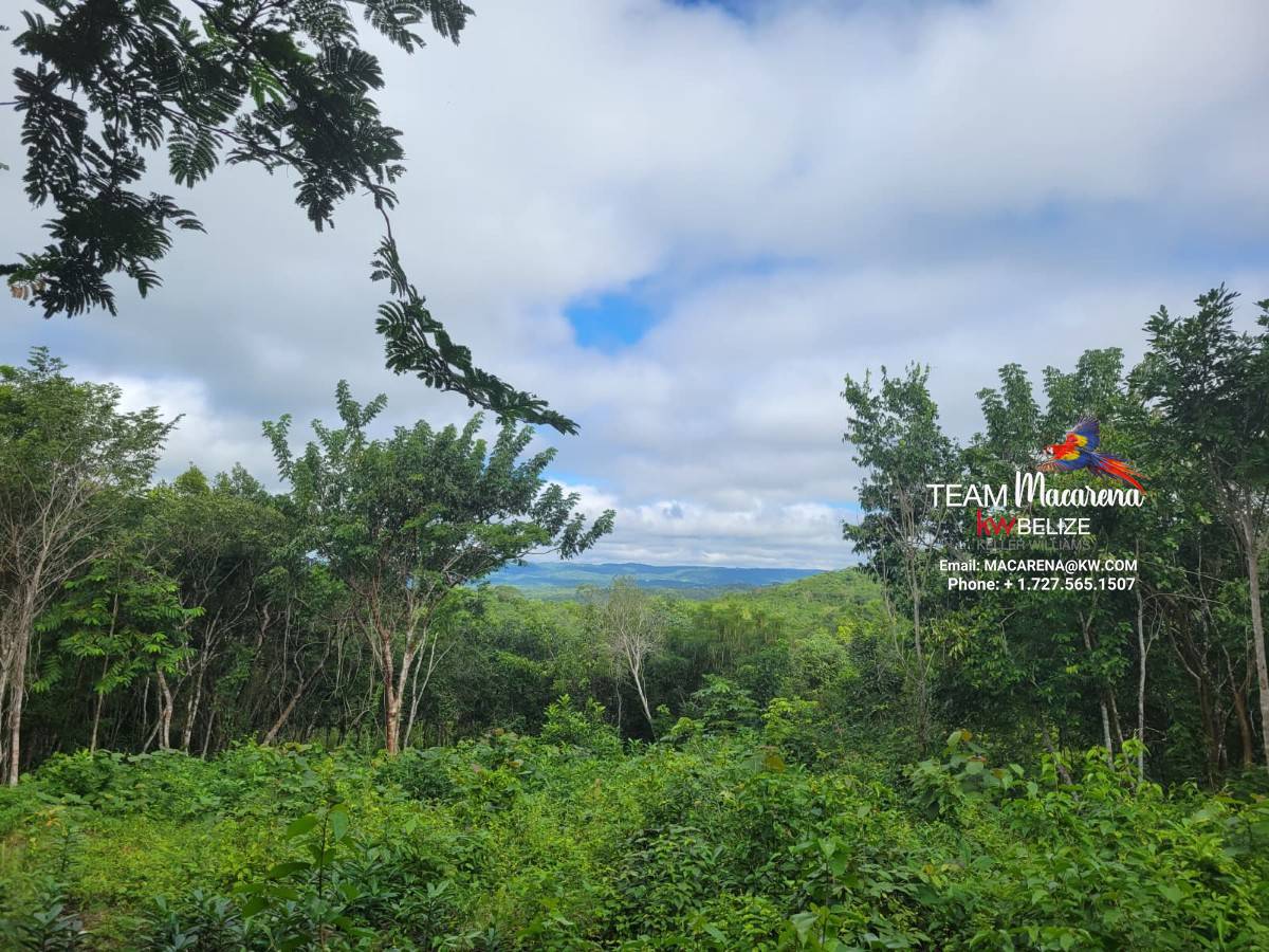 7 BEAUTIFUL ACRES IN CALLA CREEK