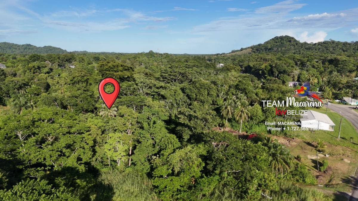 4 Acres on the Southern Highway in Eldridgeville