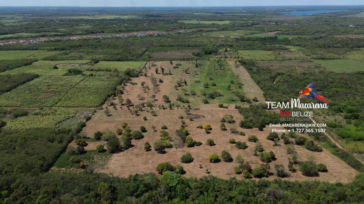 43.48 Acres Near Corozal Town – Tropical Paradise Acreage for Sale in Belize