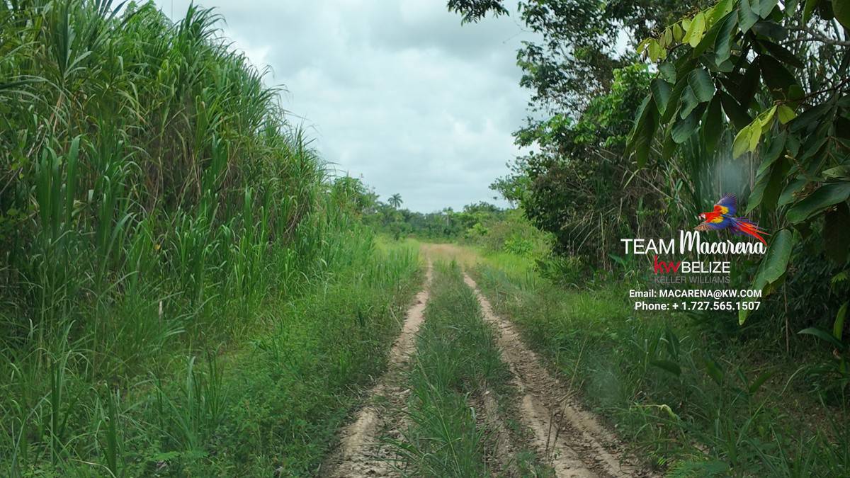10 Acres in Southern Belize: A Rare Opportunity to Own Paradise Near the Maya Mountains