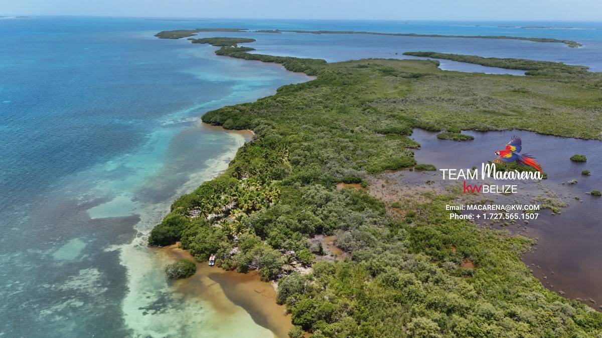 Dangriga Real Estate