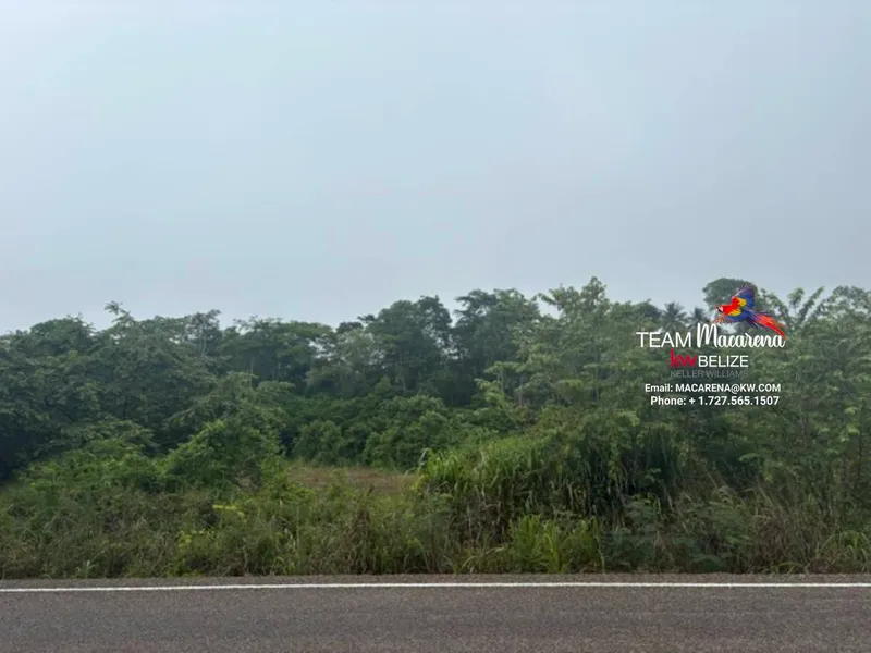 25-Acre Parcel in Bullet Tree