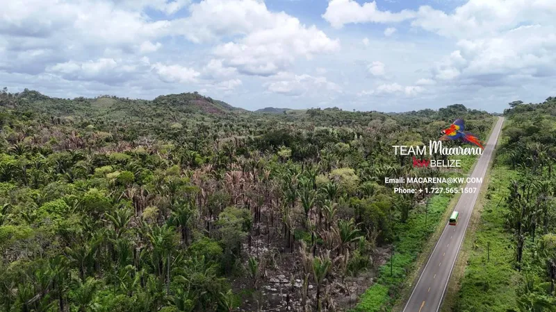 Affordable Lots on Hummingbird Highway