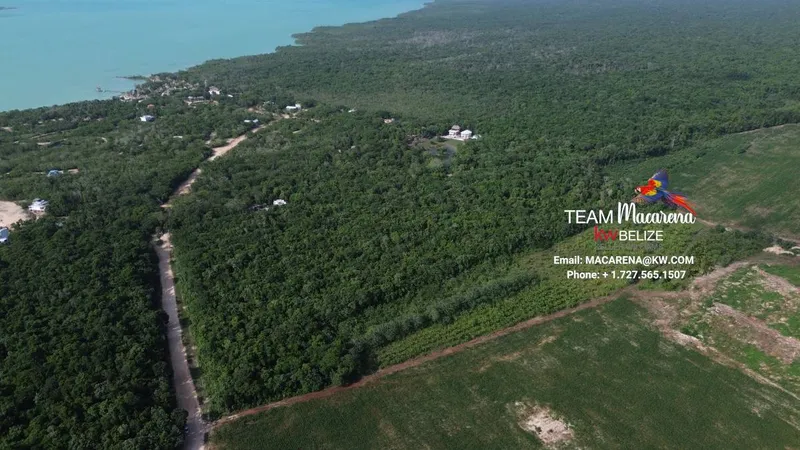 20-Acre Investment Property for Sale in Corozal