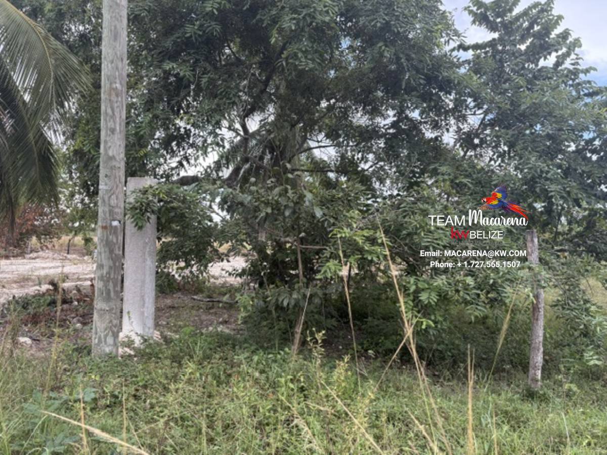 Affordable Land in Carmelita Village