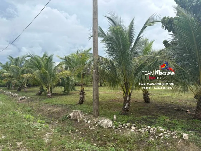Affordable Lots for Sale in Valley of Peace