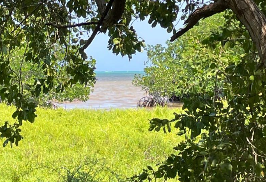 Rare Double Waterfront Lot Opportunity – North Island, Caye Caulker