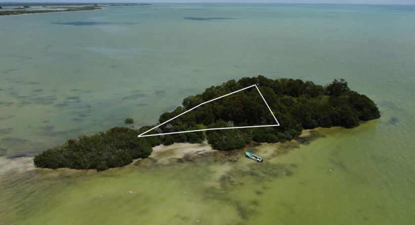 Rare Opportunity: Half an Island for Sale off Sarteneja, Shipstern Caye