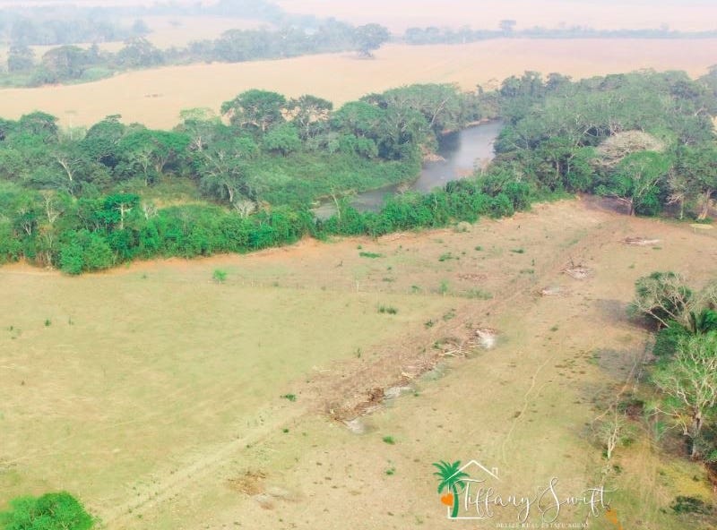 #4213 – 151 ACRES OF LAND + 500' BELIZE RIVER FRONTAGE near Spanish Lookout, Cayo District, Belize, Spanish Lookout, Cayo District, Spanish Lookout, Cayo District