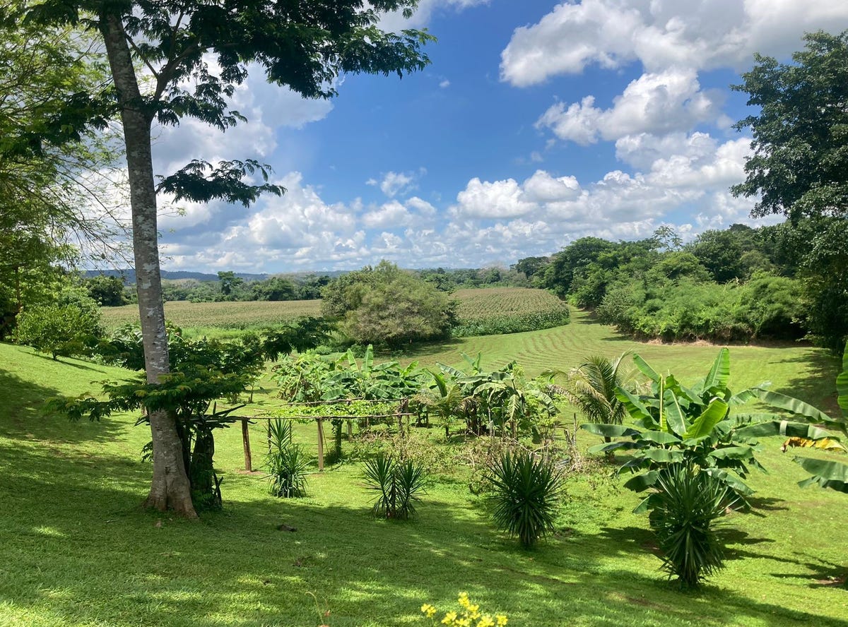 San Ignacio/Santa Elena, Cayo District