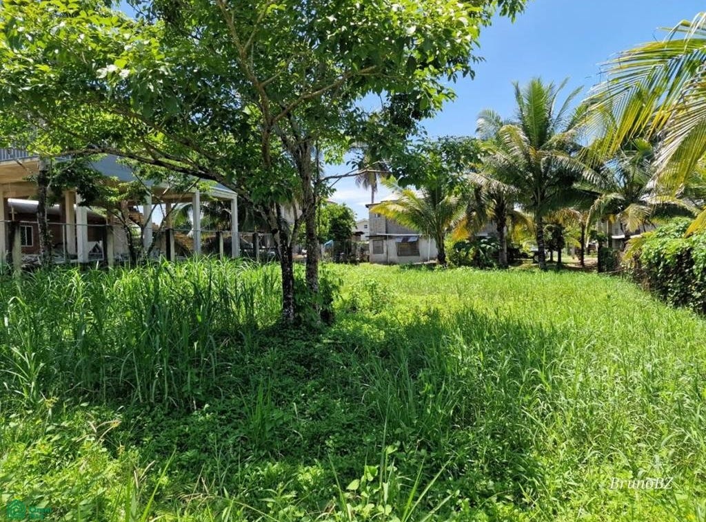 Brookside Avenue Punta Gorda Airstrip, Toledo, Toledo District