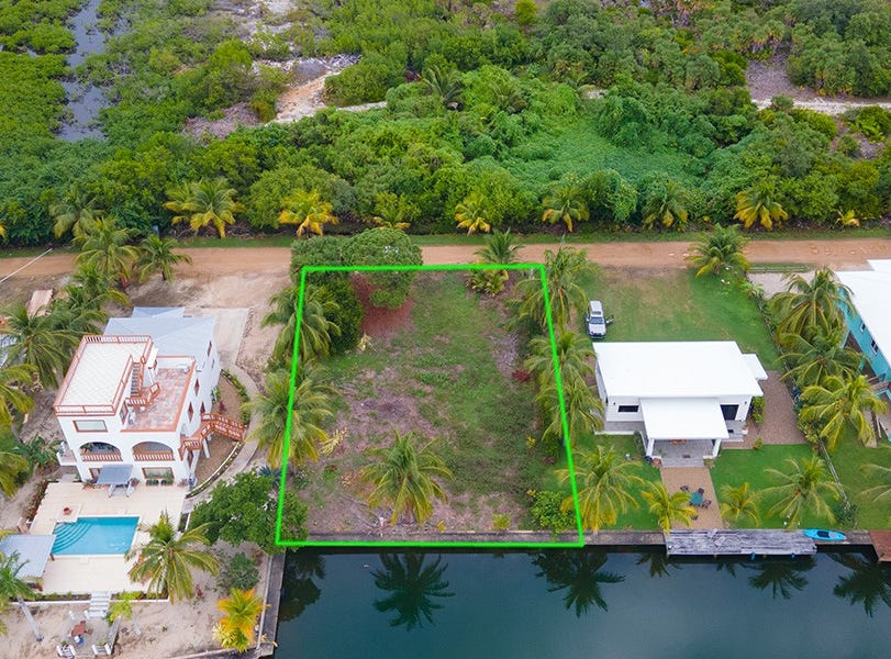 Wild Orchid, Placencia, Stann Creek District, Placencia, Stann Creek District
