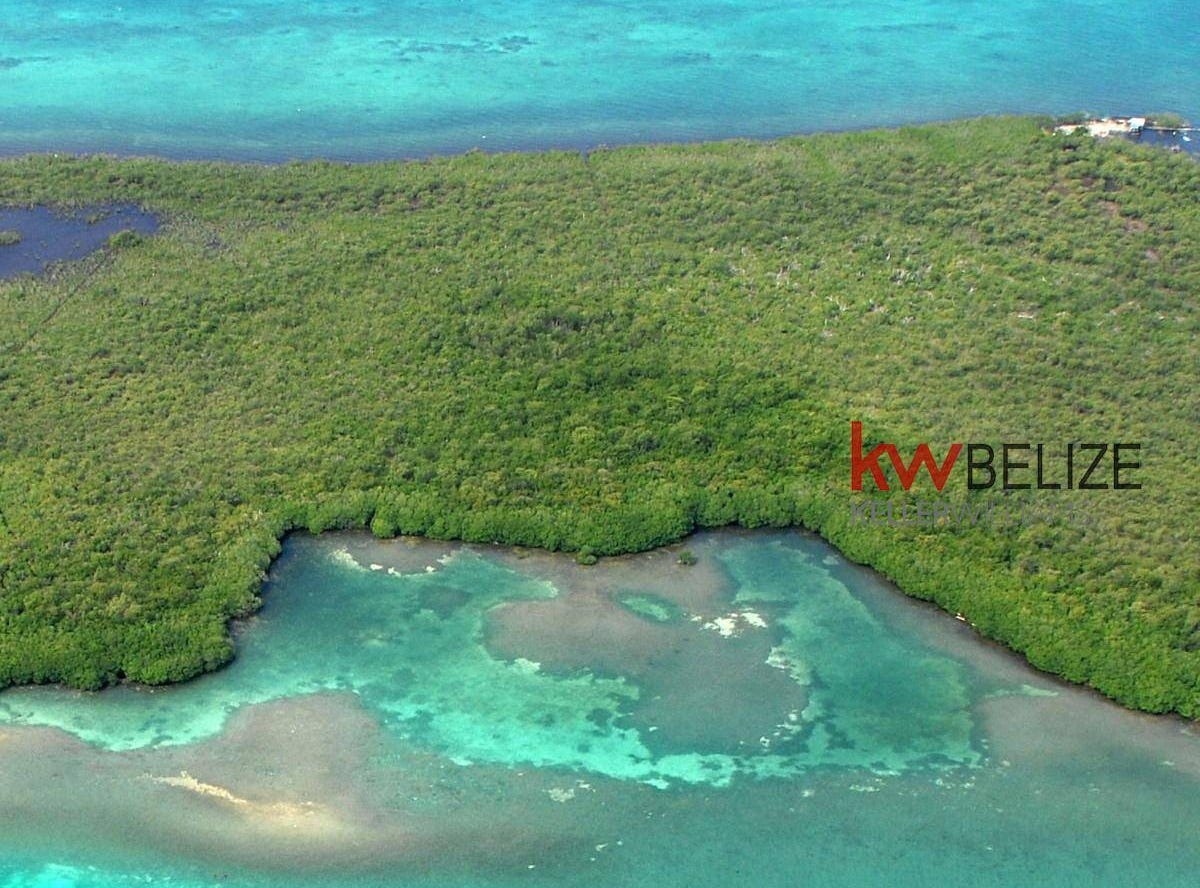 #41.18 acres on the southern half of Columbus Caye, Columbus Caye, Stann Creek District
