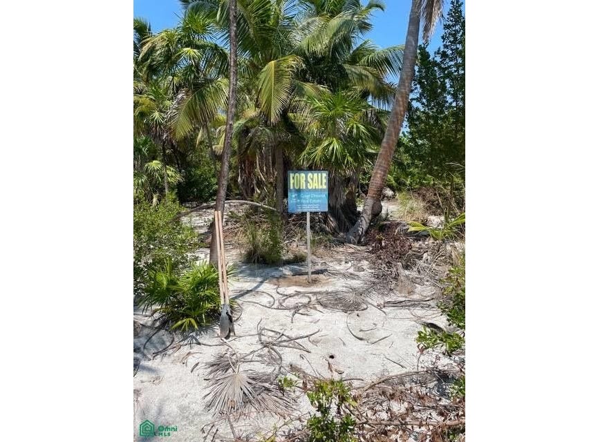 North Island , Caye Caulker, Caye Caulker, Caye Caulker, Belize District