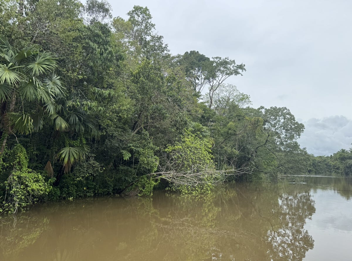 Moho River, Punta Gorda, Toledo District Land/Development for Sale