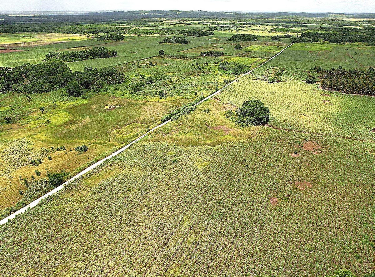 128 Douglas Rural Road Block 1, San Pablo, Orange Walk District Land/Development for Sale
