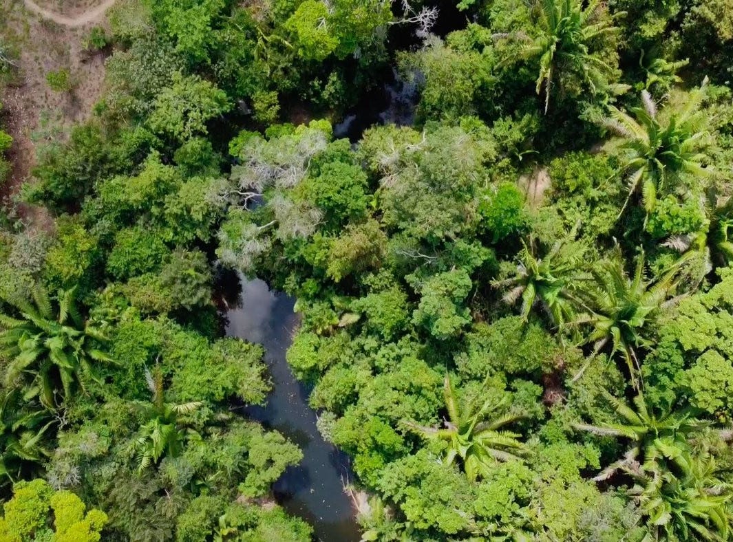Lot 14, 15, Silk Grass, Stann Creek District Land/Development for Sale