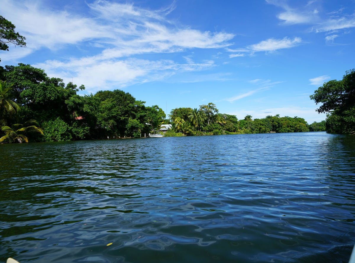 Lot 8 and 9, Sittee River, Sittee River, Stann Creek District Land/Development for Sale