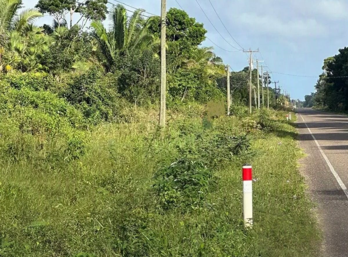 Hopkins, Stann Creek District Land/Development for Sale