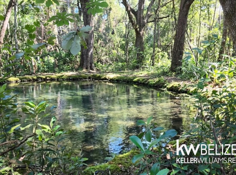 #11-Acre Eco Property Near San Ignacio #11-Acre Eco Property Near San Ignacio, San Jose Succotz, Cayo Distirct
