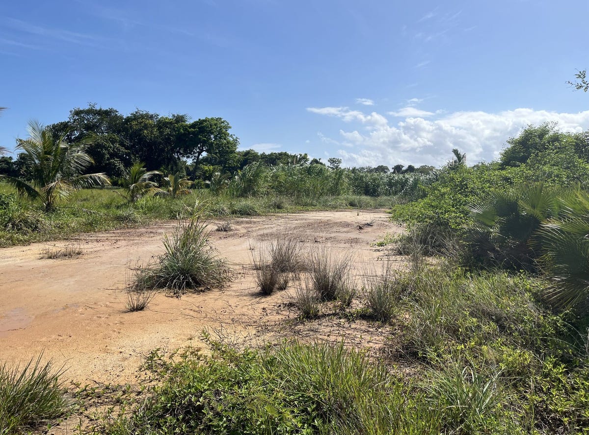 Lot 151 Sittee River Rd, Sittee River, Stann Creek District Land/Development for Sale