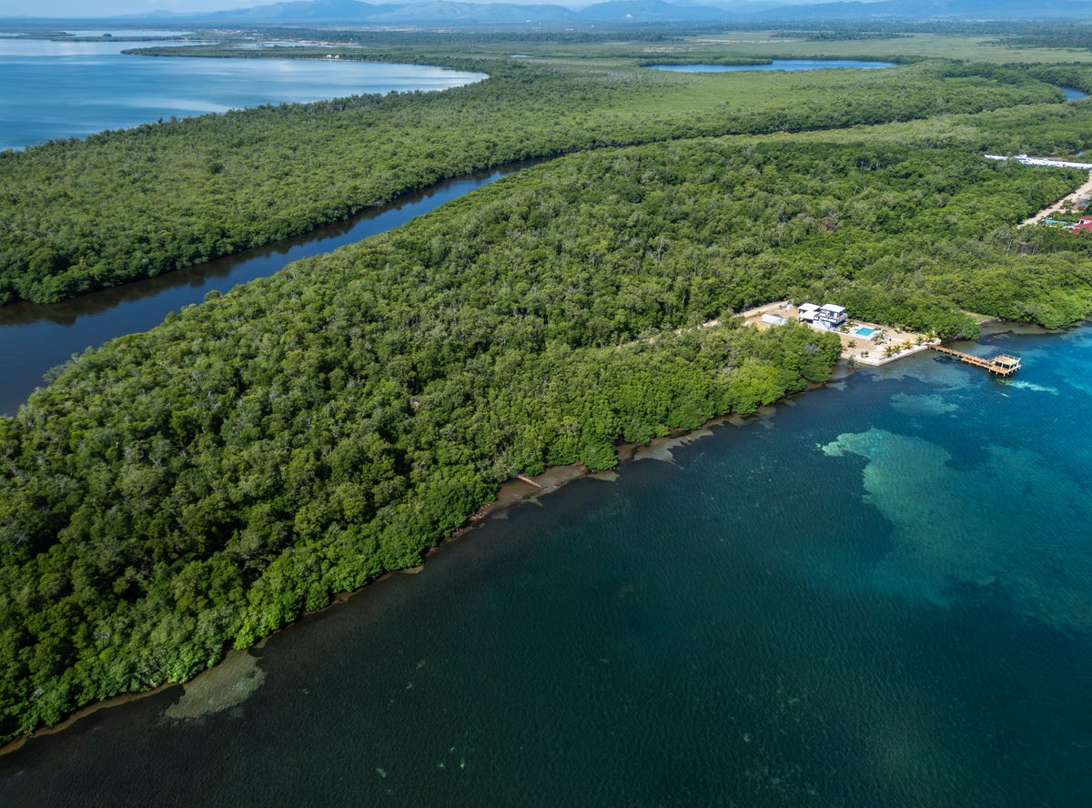 Mangrove Resort and Marina, Hopkins, Stann Creek District, Hopkins, Stann Creek District