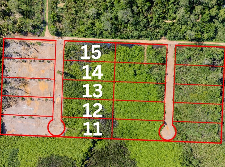 Bocatura bank, Sittee River village, Hopkins, Stann Creek District, Hopkins, Stann Creek District