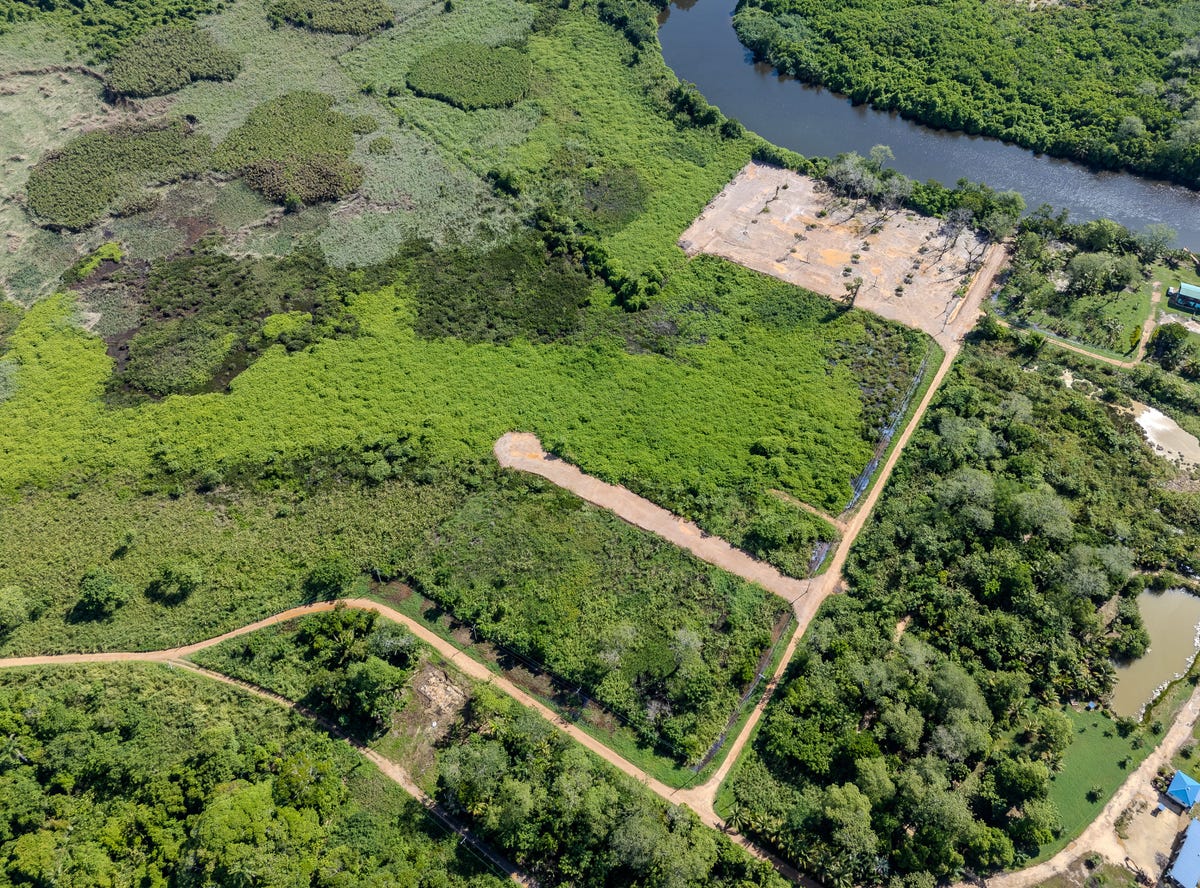 Bocatura bank, Sittee River village, Hopkins, Stann Creek District, Hopkins, Stann Creek District