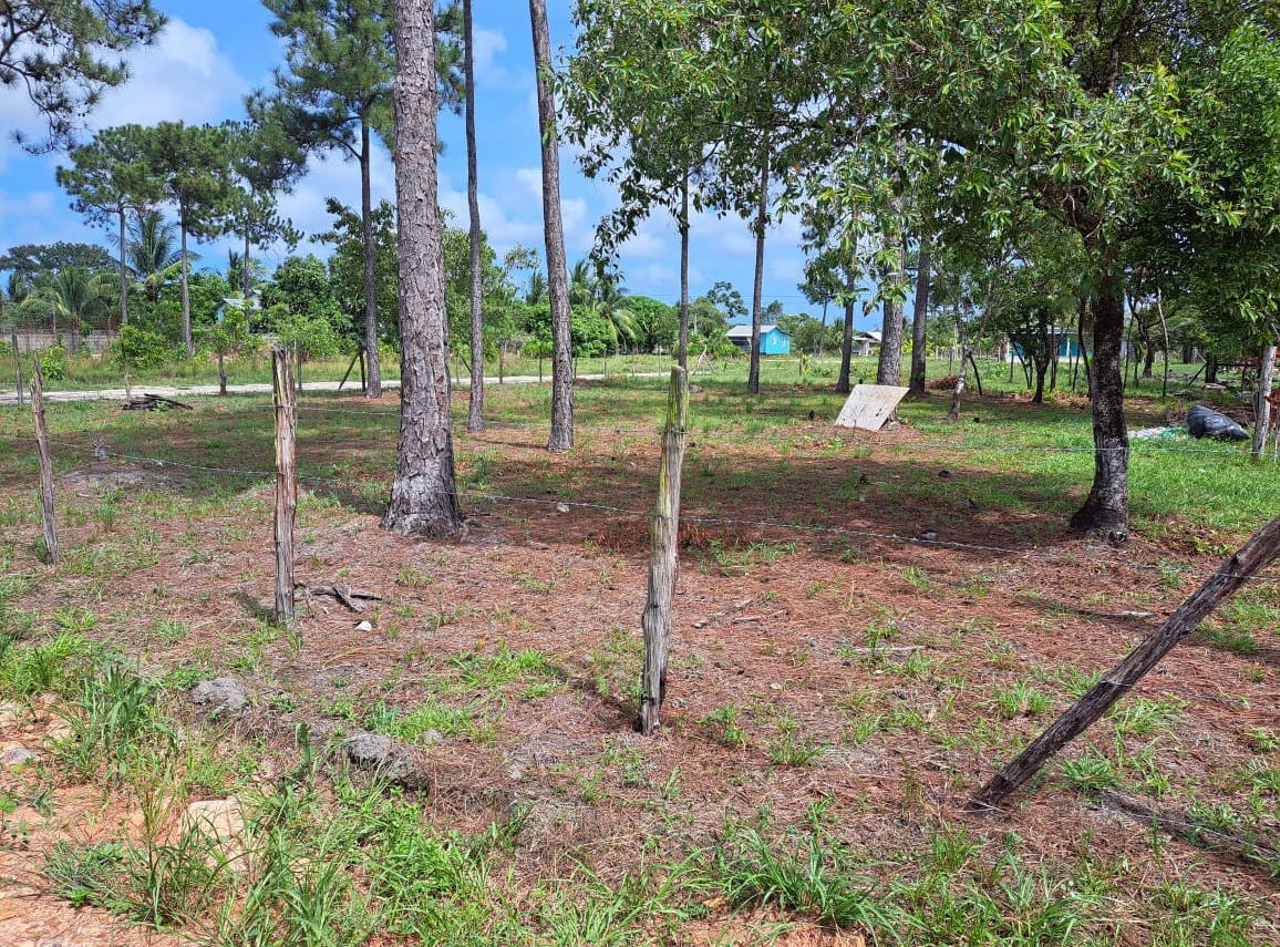 Lot 574 Santa Cruz, Red Bank, Stann Creek District, Red Bank, Stann Creek District