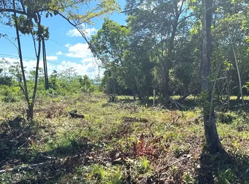 Hopkins, Stann Creek District Land/Development for Sale