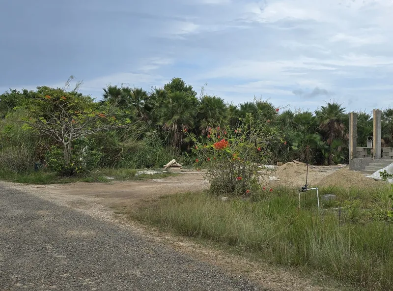 78 Sitee River Road, Hopkins, Belize, Hopkins, Stann Creek District Land/Development for Sale