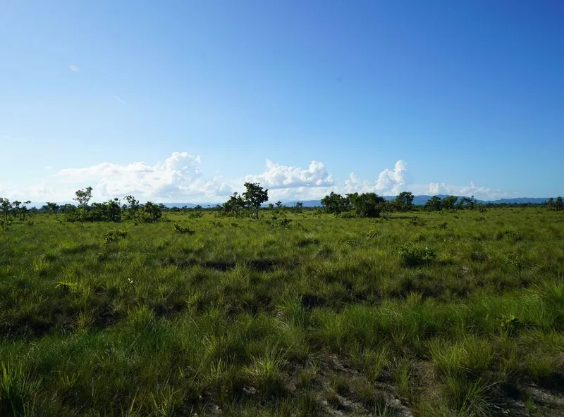 Independence, Stann Creek District