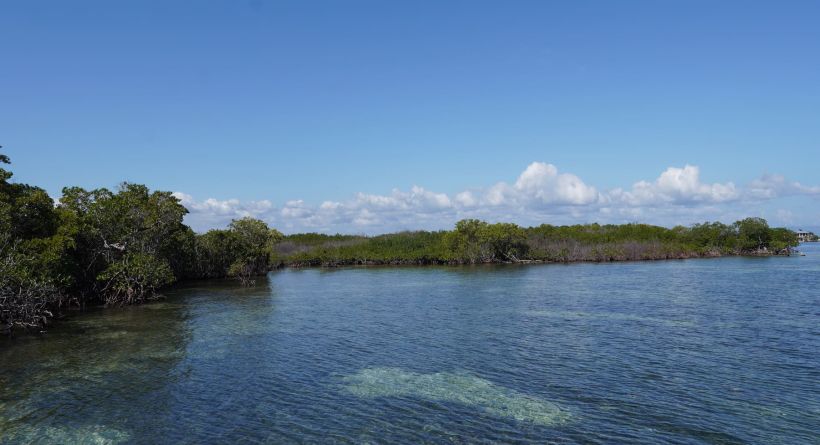 REDUCED! 10.06 Acres, Lark Caye, 5 Miles East of Placencia/Sea & Lagoon Frontage
