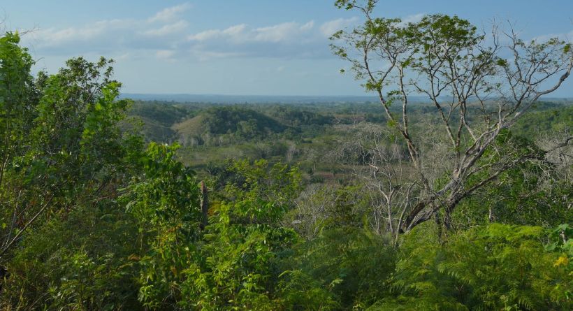 REDUCED! 10.71 Acre Hill Top Property just off the George Price Highway, Cayo