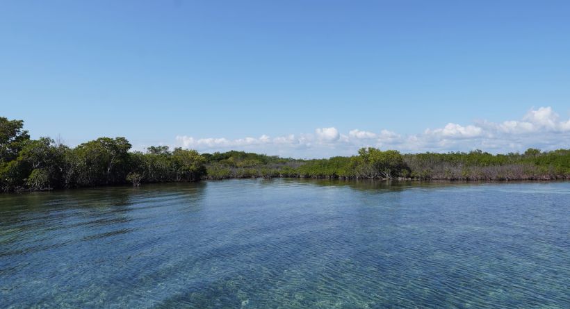 REDUCED! 13.183 Acres, Lark Caye, 5 Miles E. of Placencia/Sea & Lagoon Frontage