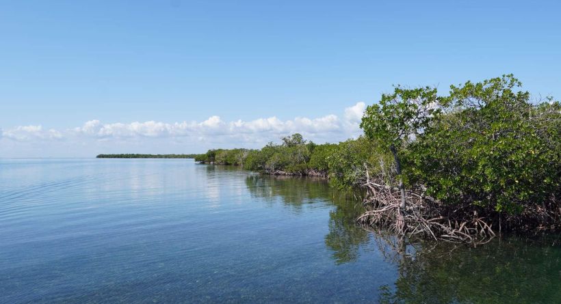 REDUCED! 5.3 Acres, Lark Caye, 5 Miles E. of Placencia/Sea & Lagoon Frontage