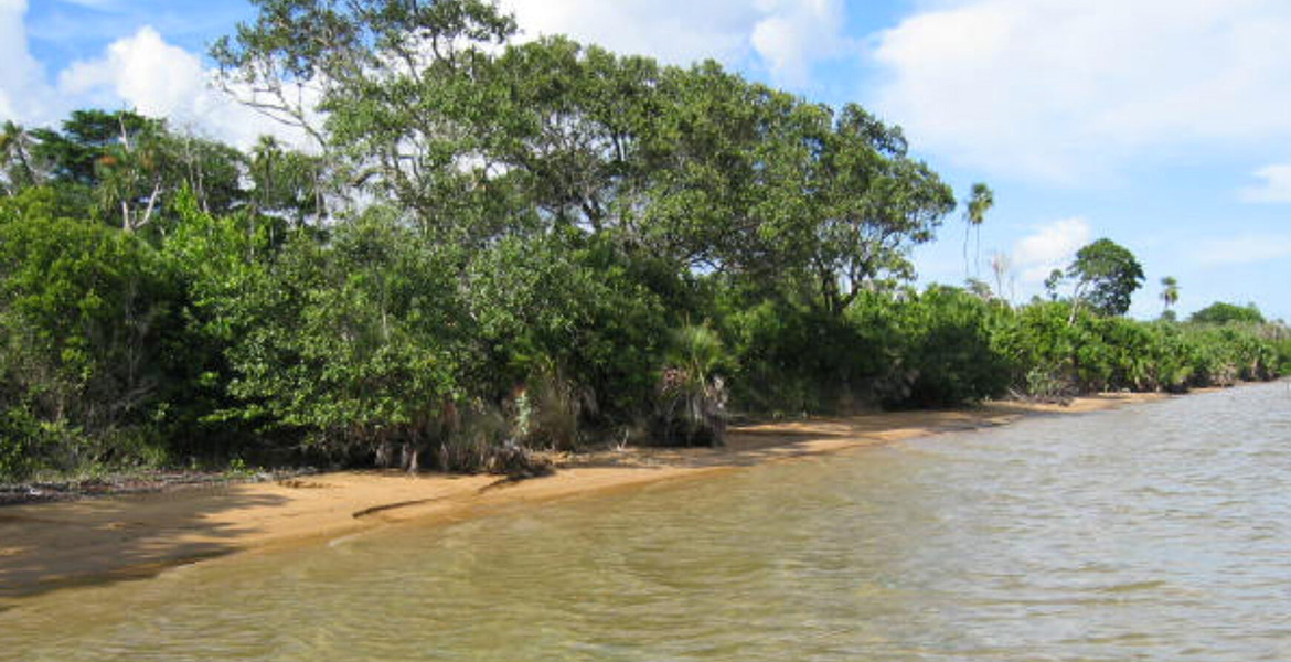 100 Acres of Ocean Front Property at Colson Point
