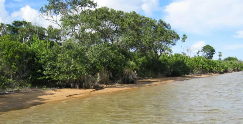 100 Acres of Ocean Front Property at Colson Point