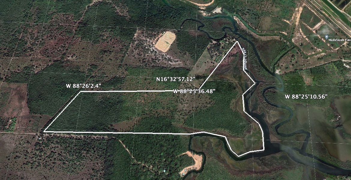 100 Acres Waterfront with Sea Access