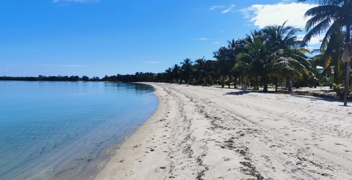 Beachfront Lot in the heart of Placencia Village