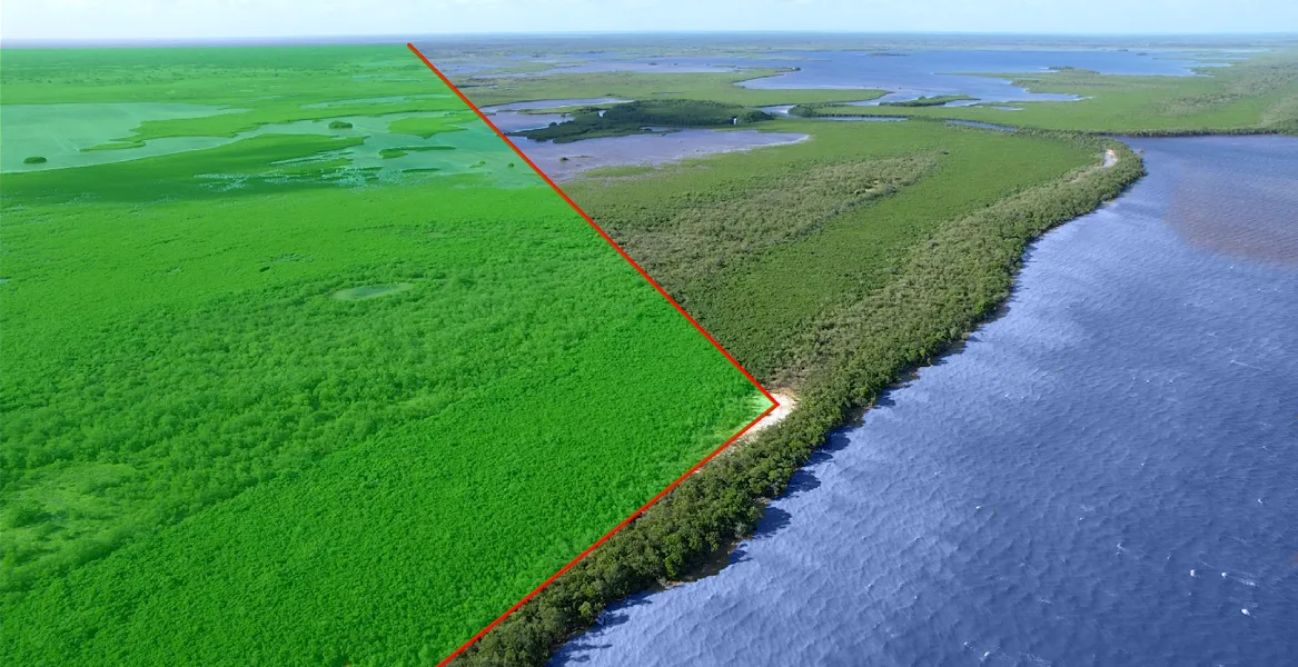 Buy a farm in Belize — 4000 Acres of Waterfront land