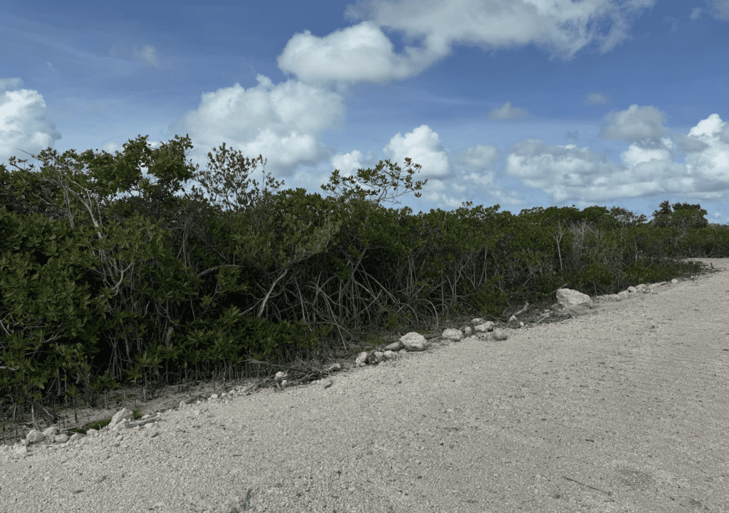 $45,000 USD Lots For Sale Ambergris Caye