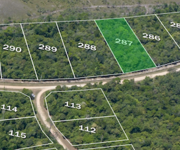 Lot 287 (1.017 Acre Parcel) in Sapodilla Ridge – Stann Creek, Belize