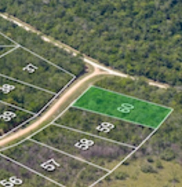 Lot 60 in Red Rock Development – Equestrian Area | Stann Creek, Belize