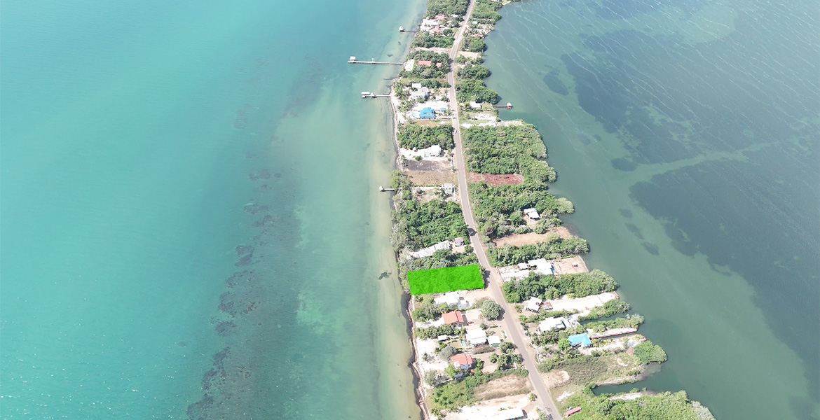 Pristine Beachfront lot with Pier Permit