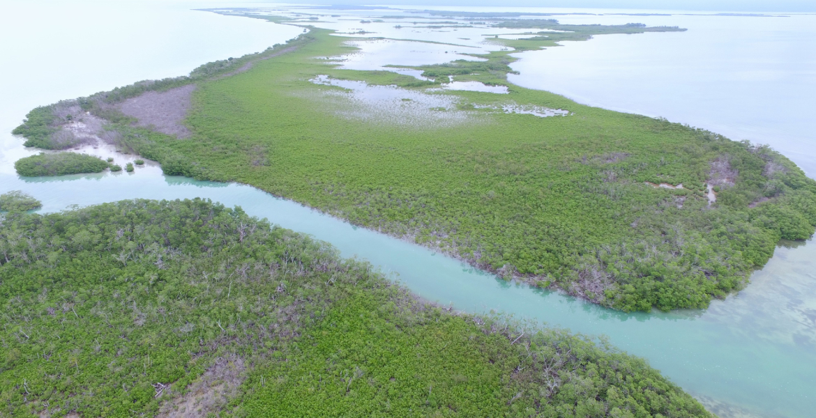 Private Luxury — 35 acre Island in Hick’s Caye