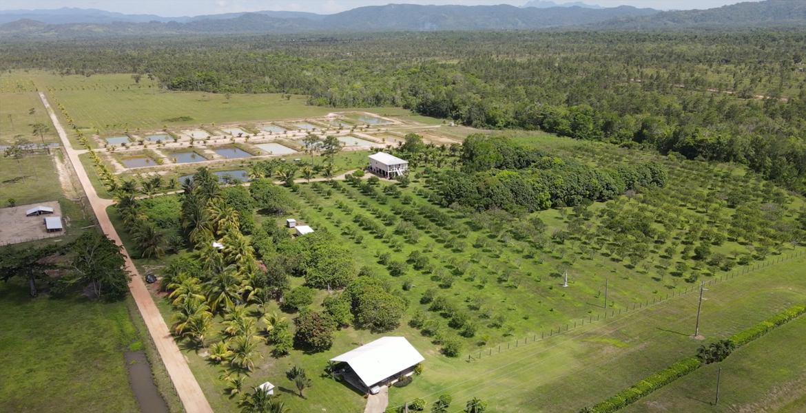 Profitable Organic Farm